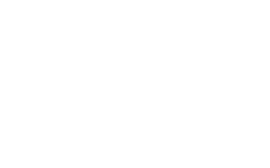 logo bueno service branco